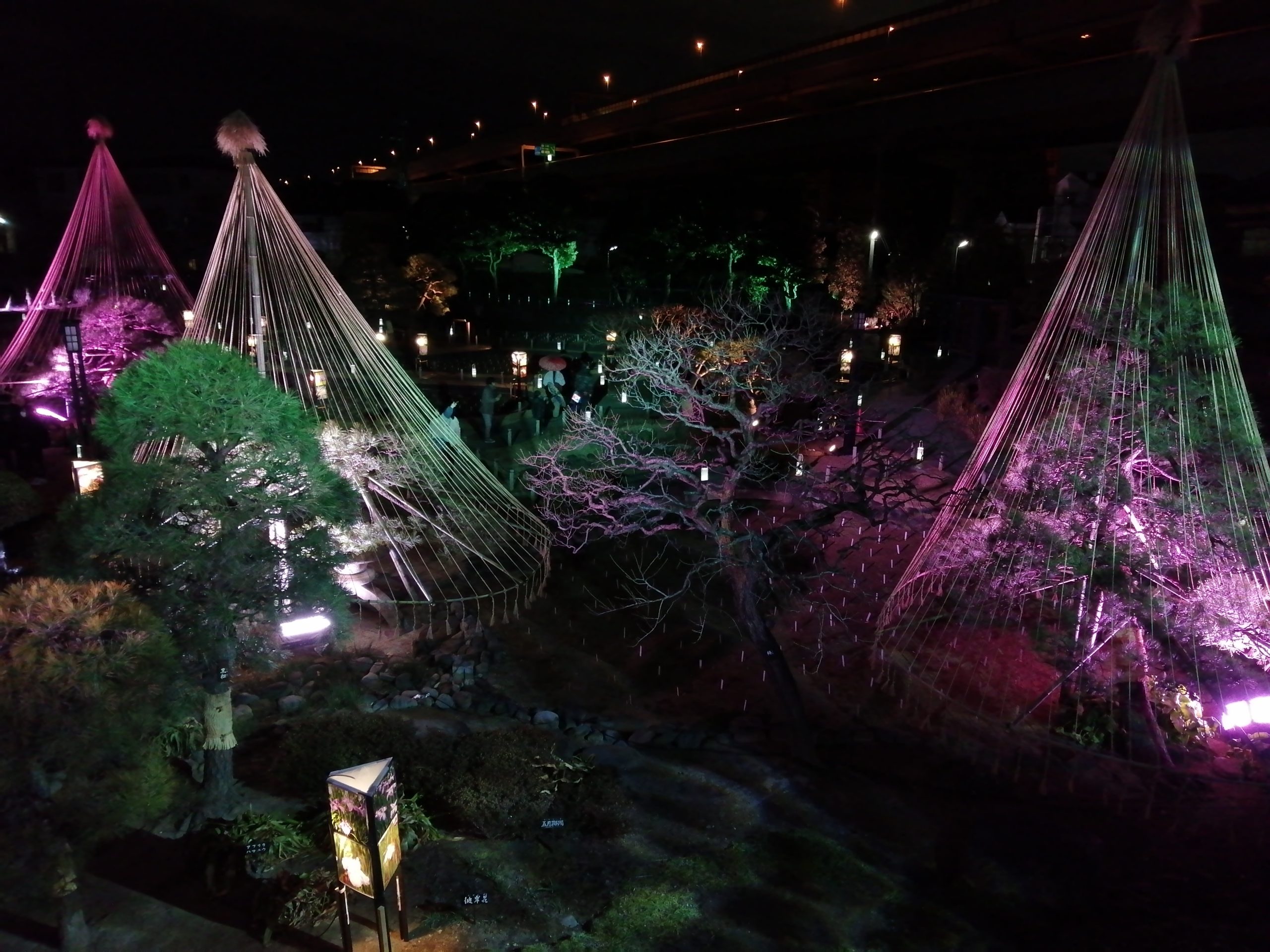 冬の堀切菖蒲園　和の光のおもてなし